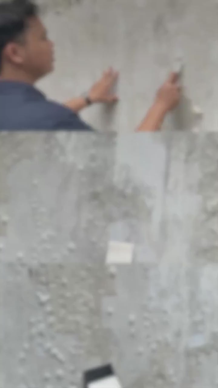 fallback text for a video